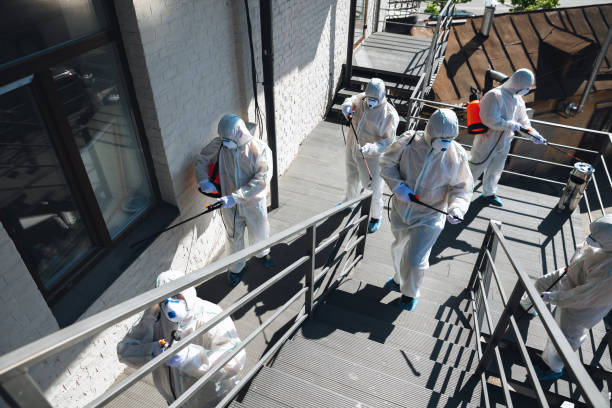 Professional Mold Removal in Mayflower Village, CA