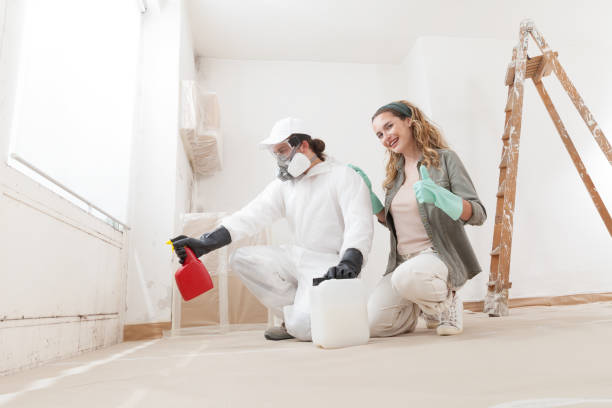 Asbestos and Lead Testing During Mold Inspection in Mayflower Village, CA